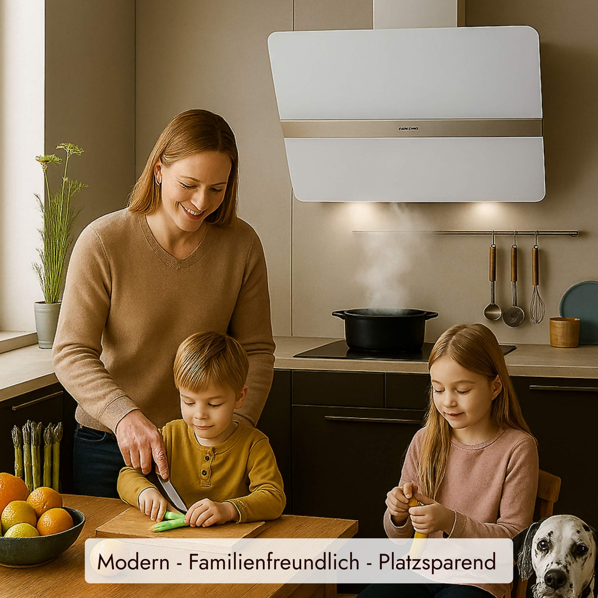 "Falmec Flipper" von Falmec (Bild 5). / /